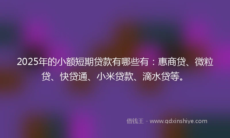 2025年的小额短期贷款有哪些有：惠商贷、微粒贷、快贷通、小米贷款、滴水贷等。