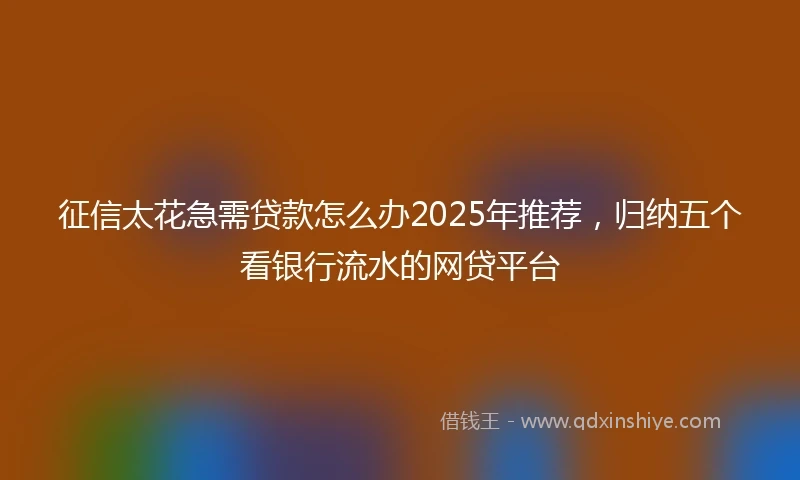 征信太花急需贷款怎么办2025年推荐，归纳五个看银行流水的网贷平台
