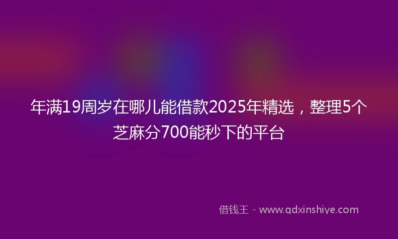 年满19周岁在哪儿能借款2025年精选，整理5个芝麻分700能秒下的平台