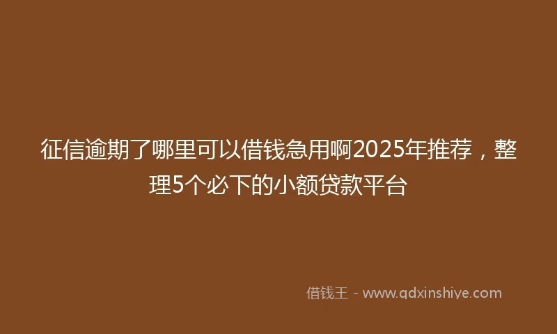 征信逾期了哪里可以借钱急用啊2025年推荐，整理5个必下的小额贷款平台