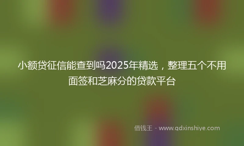 小额贷征信能查到吗2025年精选，整理五个不用面签和芝麻分的贷款平台