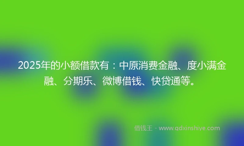 2025年的小额借款有：中原消费金融、度小满金融、分期乐、微博借钱、快贷通等。