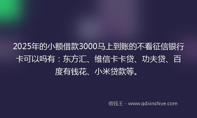 2025年的小额借款3000马上到账的不看征信银行卡可以吗有：东方汇、维信卡卡贷、功夫贷、百度有钱花、小米贷款等。