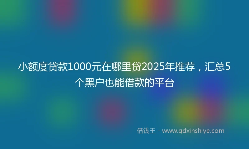 小额度贷款1000元在哪里贷2025年推荐，汇总5个黑户也能借款的平台