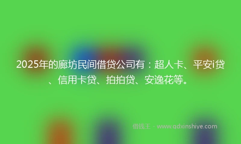 2025年的廊坊民间借贷公司有：超人卡、平安i贷、信用卡贷、拍拍贷、安逸花等。