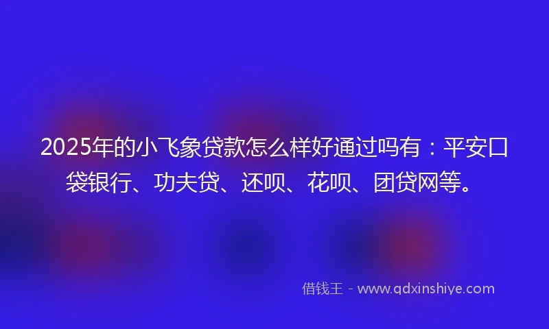 2025年的小飞象贷款怎么样好通过吗有：平安口袋银行、功夫贷、还呗、花呗、团贷网等。