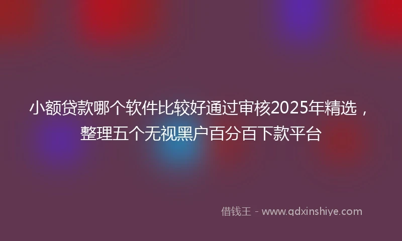小额贷款哪个软件比较好通过审核2025年精选，整理五个无视黑户百分百下款平台