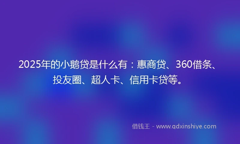 2025年的小鹅贷是什么有：惠商贷、360借条、投友圈、超人卡、信用卡贷等。