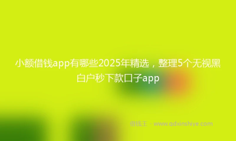 小额借钱app有哪些2025年精选，整理5个无视黑白户秒下款口子app