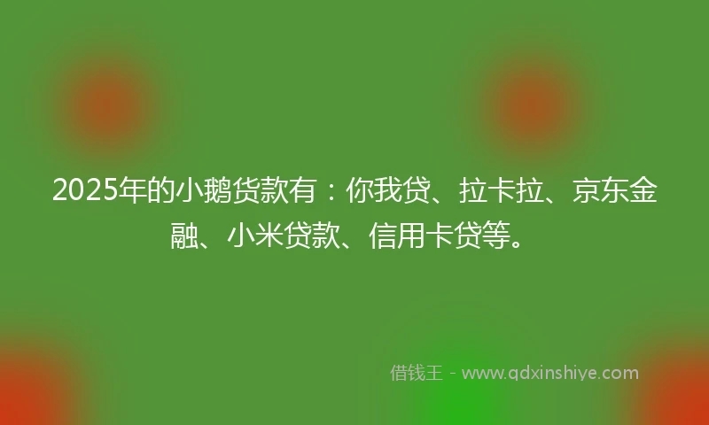 2025年的小鹅货款有：你我贷、拉卡拉、京东金融、小米贷款、信用卡贷等。