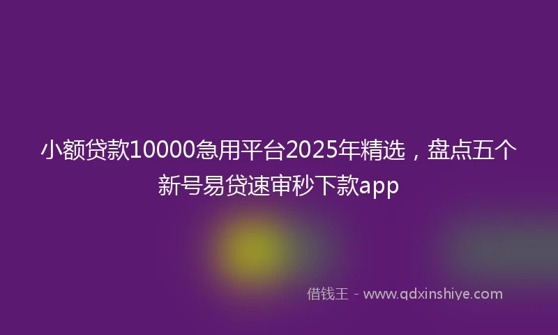 小额贷款10000急用平台2025年精选，盘点五个新号易贷速审秒下款app
