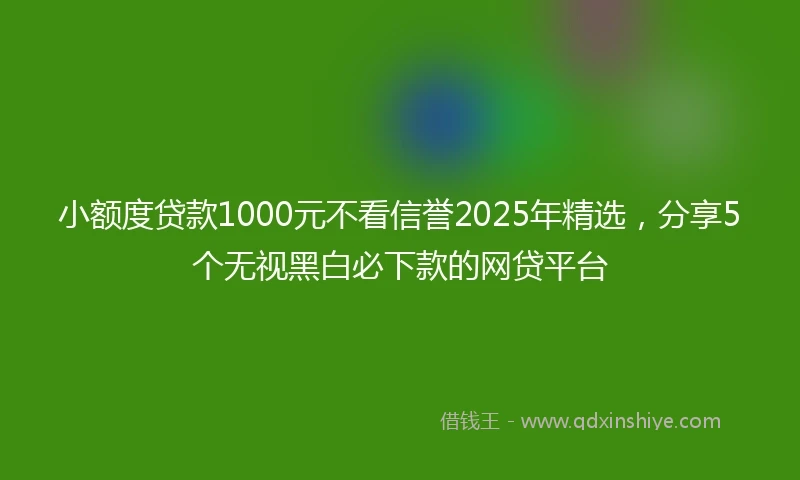 小额度贷款1000元不看信誉2025年精选，分享5个无视黑白必下款的网贷平台