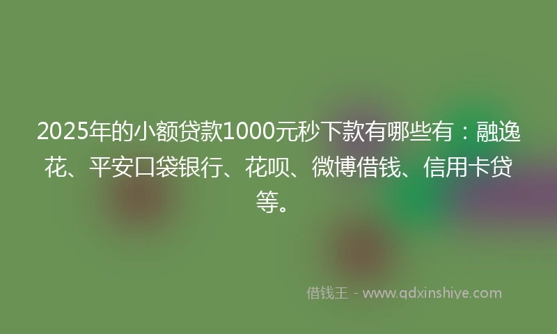 2025年的小额贷款1000元秒下款有哪些有：融逸花、平安口袋银行、花呗、微博借钱、信用卡贷等。