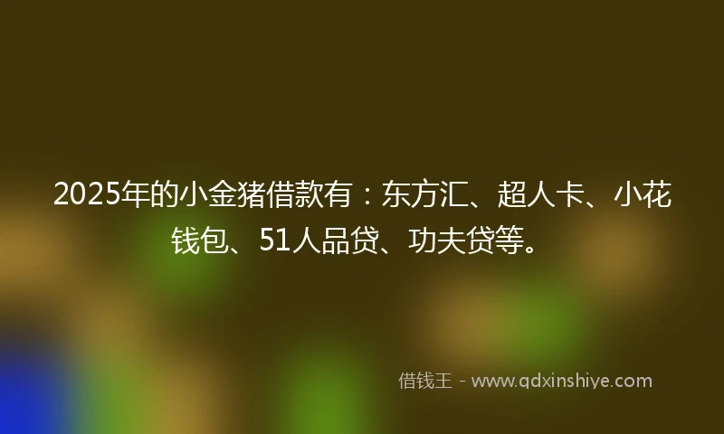 2025年的小金猪借款有：东方汇、超人卡、小花钱包、51人品贷、功夫贷等。
