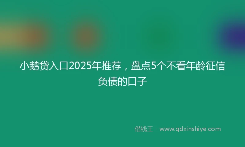 小鹅贷入口2025年推荐，盘点5个不看年龄征信负债的口子