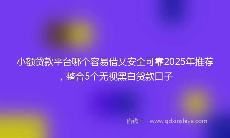 小额贷款平台哪个容易借又安全可靠2025年推荐，整合5个无视黑白贷款口子