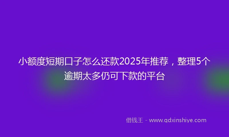 小额度短期口子怎么还款2025年推荐，整理5个逾期太多仍可下款的平台