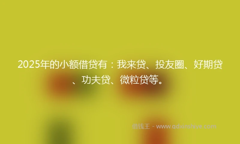 2025年的小额借贷有：我来贷、投友圈、好期贷、功夫贷、微粒贷等。