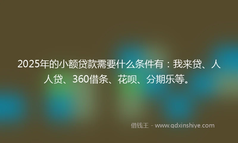 2025年的小额贷款需要什么条件有：我来贷、人人贷、360借条、花呗、分期乐等。