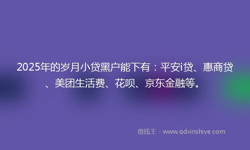 2025年的岁月小贷黑户能下有：平安i贷、惠商贷、美团生活费、花呗、京东金融等。