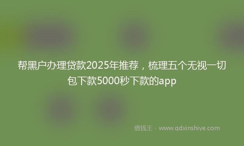 帮黑户办理贷款2025年推荐，梳理五个无视一切包下款5000秒下款的app