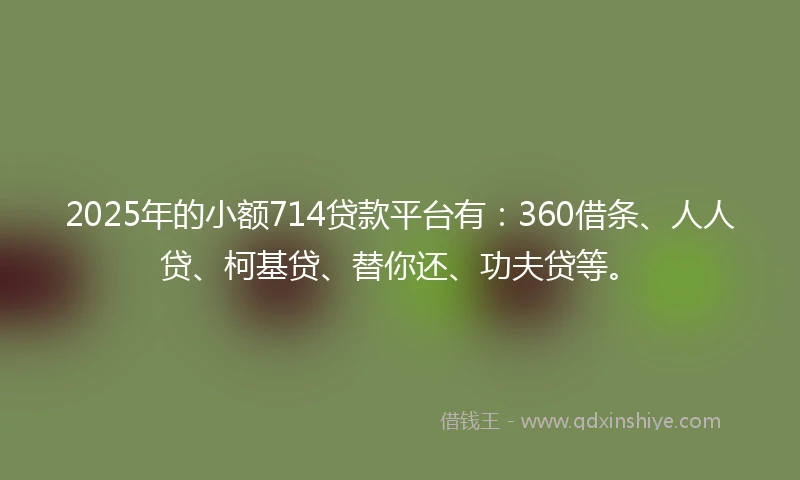 2025年的小额714贷款平台有：360借条、人人贷、柯基贷、替你还、功夫贷等。