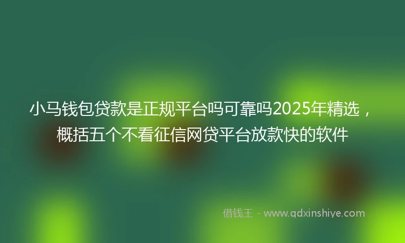 小马钱包贷款是正规平台吗可靠吗2025年精选，概括五个不看征信网贷平台放款快的软件
