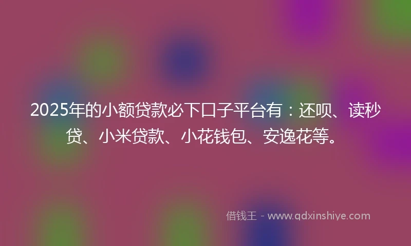 2025年的小额贷款必下口子平台有：还呗、读秒贷、小米贷款、小花钱包、安逸花等。