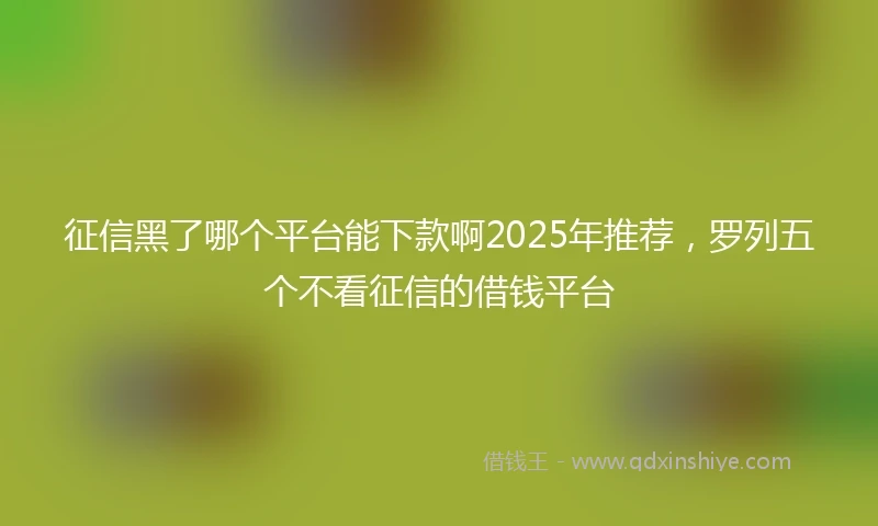 征信黑了哪个平台能下款啊2025年推荐，罗列五个不看征信的借钱平台