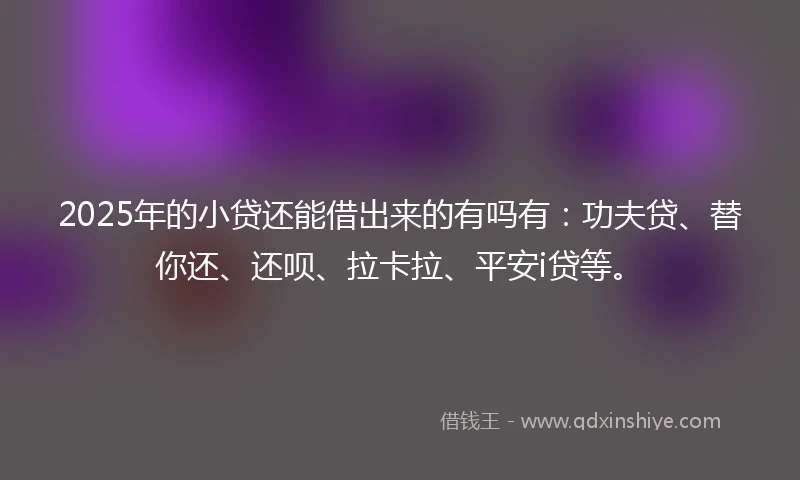 2025年的小贷还能借出来的有吗有：功夫贷、替你还、还呗、拉卡拉、平安i贷等。