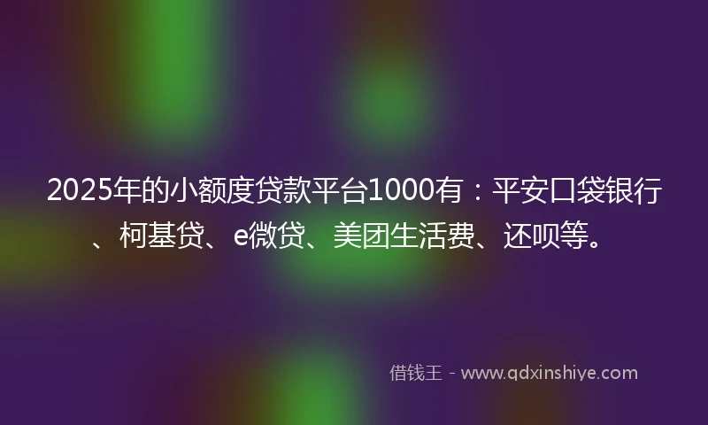 2025年的小额度贷款平台1000有：平安口袋银行、柯基贷、e微贷、美团生活费、还呗等。
