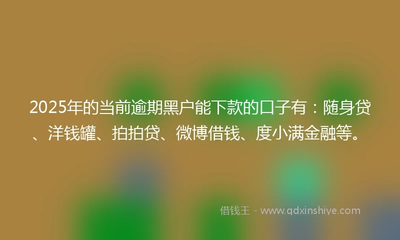 2025年的当前逾期黑户能下款的口子有：随身贷、洋钱罐、拍拍贷、微博借钱、度小满金融等。