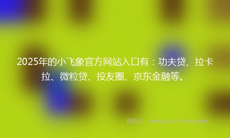 2025年的小飞象官方网站入口有：功夫贷、拉卡拉、微粒贷、投友圈、京东金融等。