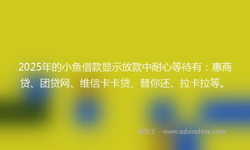 2025年的小鱼借款显示放款中耐心等待有：惠商贷、团贷网、维信卡卡贷、替你还、拉卡拉等。