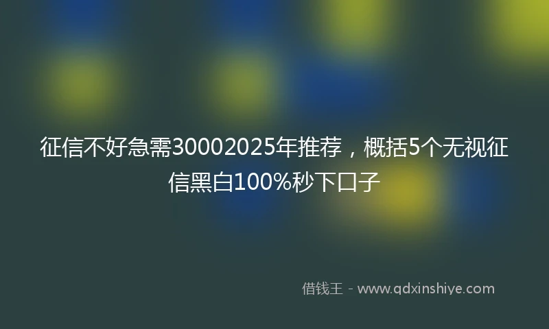 征信不好急需30002025年推荐，概括5个无视征信黑白100%秒下口子