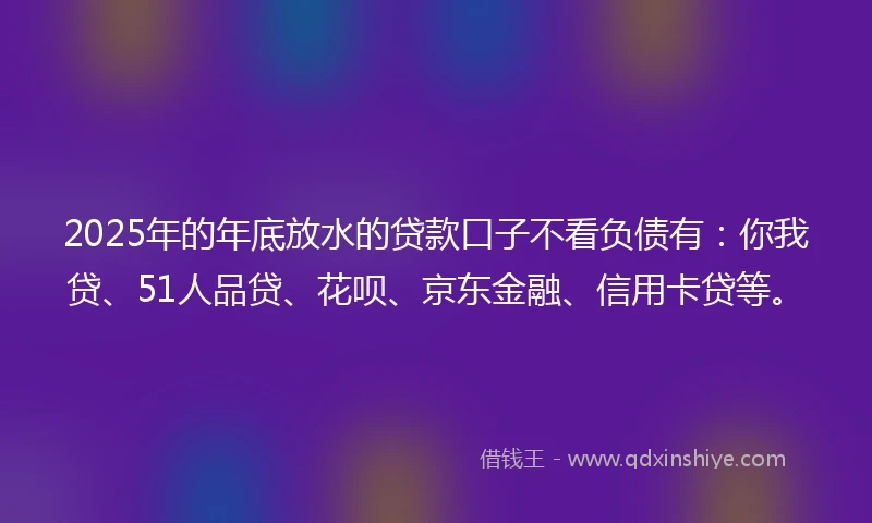 2025年的年底放水的贷款口子不看负债有：你我贷、51人品贷、花呗、京东金融、信用卡贷等。