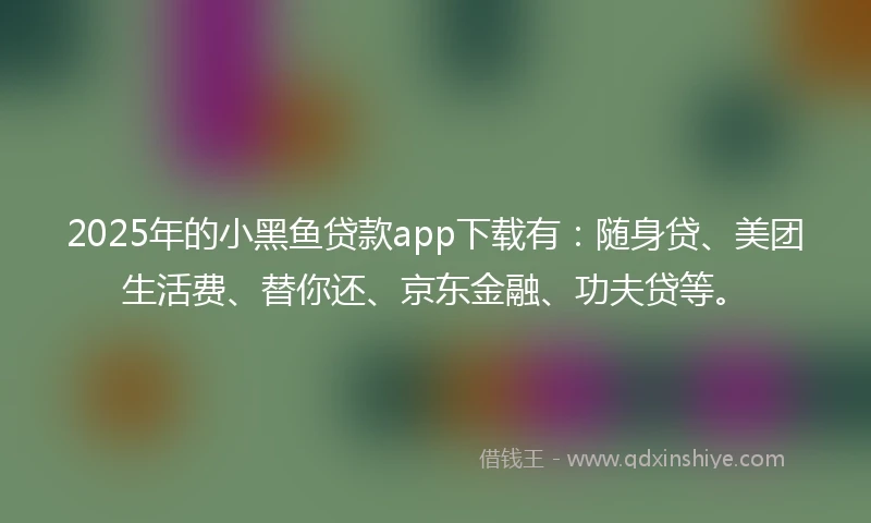 2025年的小黑鱼贷款app下载有：随身贷、美团生活费、替你还、京东金融、功夫贷等。