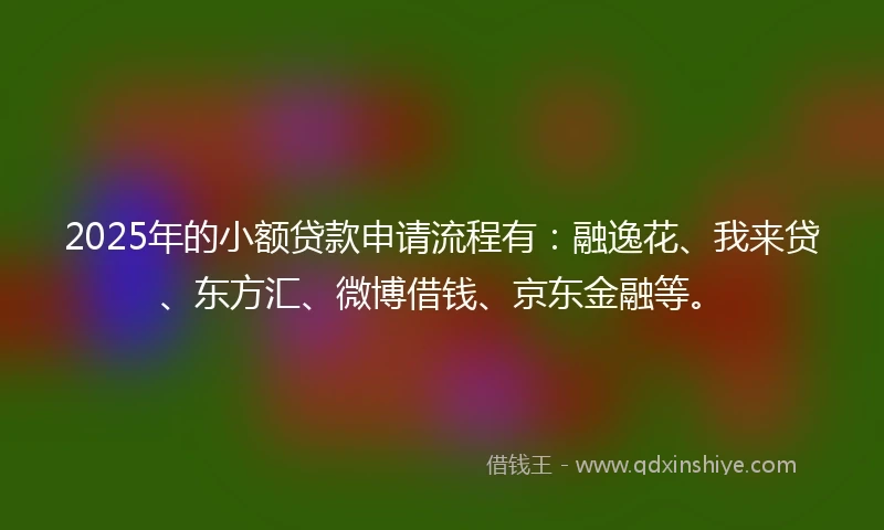 2025年的小额贷款申请流程有:融逸花、我来贷、东方汇、微博借钱、京东金融等。