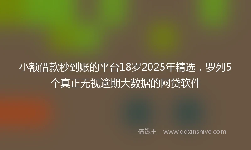 小额借款秒到账的平台18岁2025年精选，罗列5个真正无视逾期大数据的网贷软件