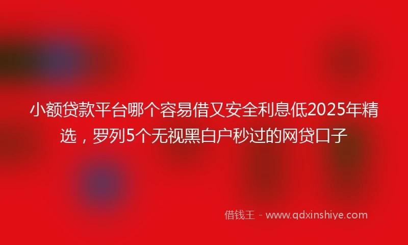 小额贷款平台哪个容易借又安全利息低2025年精选，罗列5个无视黑白户秒过的网贷口子