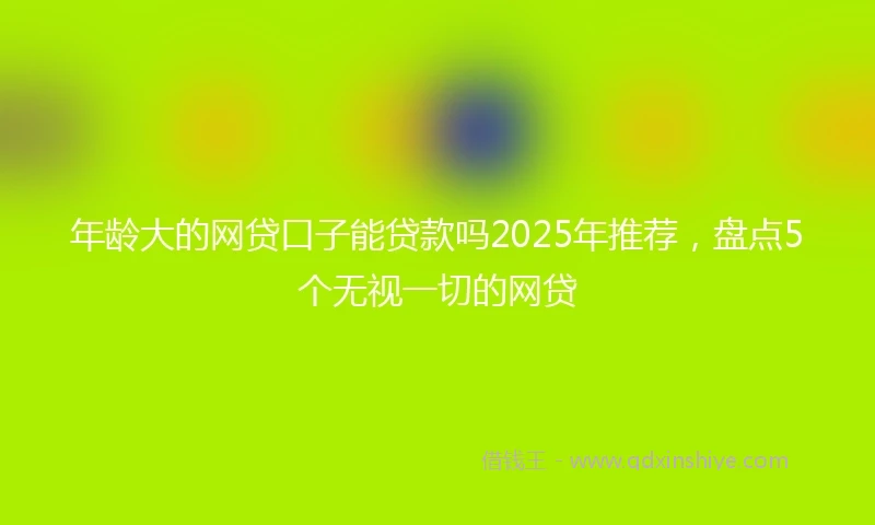 年龄大的网贷口子能贷款吗2025年推荐,盘点5个无视一切的网贷