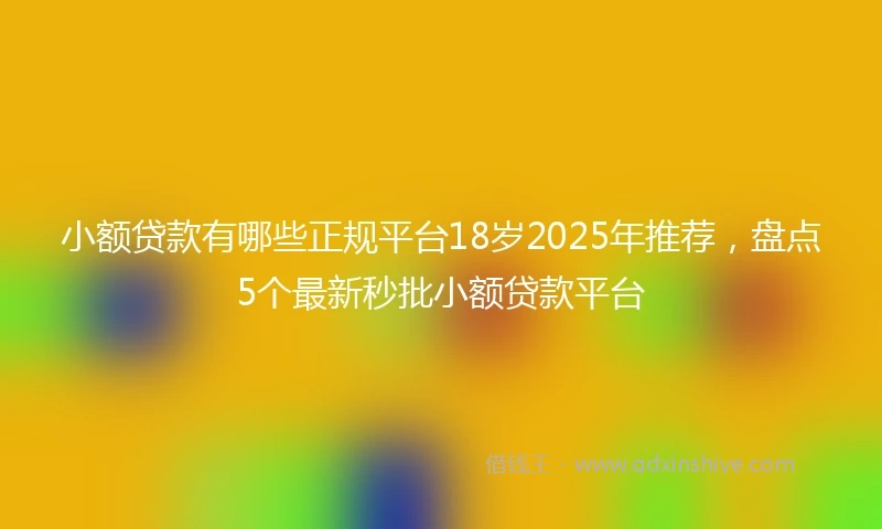 小额贷款有哪些正规平台18岁2025年推荐，盘点5个最新秒批小额贷款平台