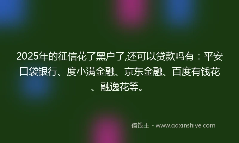 2025年的征信花了黑户了,还可以贷款吗有：平安口袋银行、度小满金融、京东金融、百度有钱花、融逸花等。