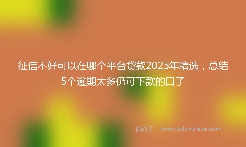 征信不好可以在哪个平台贷款2025年精选，总结5个逾期太多仍可下款的口子