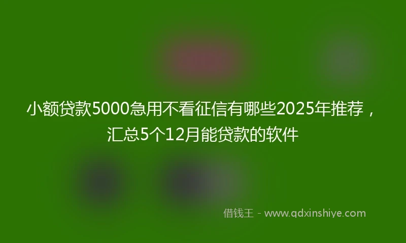 小额贷款5000急用不看征信有哪些2025年推荐，汇总5个12月能贷款的软件