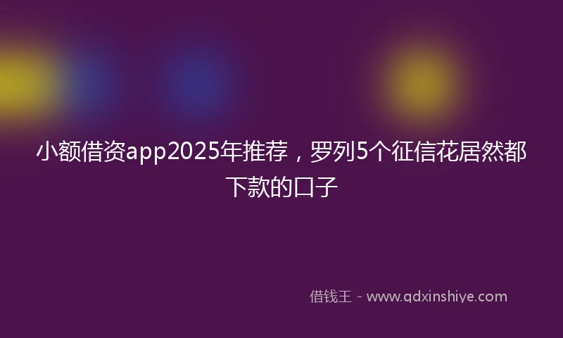 小额借资app2025年推荐，罗列5个征信花居然都下款的口子