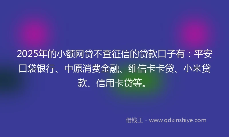 2025年的小额网贷不查征信的贷款口子有：平安口袋银行、中原消费金融、维信卡卡贷、小米贷款、信用卡贷等。