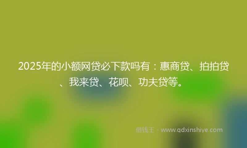 2025年的小额网贷必下款吗有：惠商贷、拍拍贷、我来贷、花呗、功夫贷等。