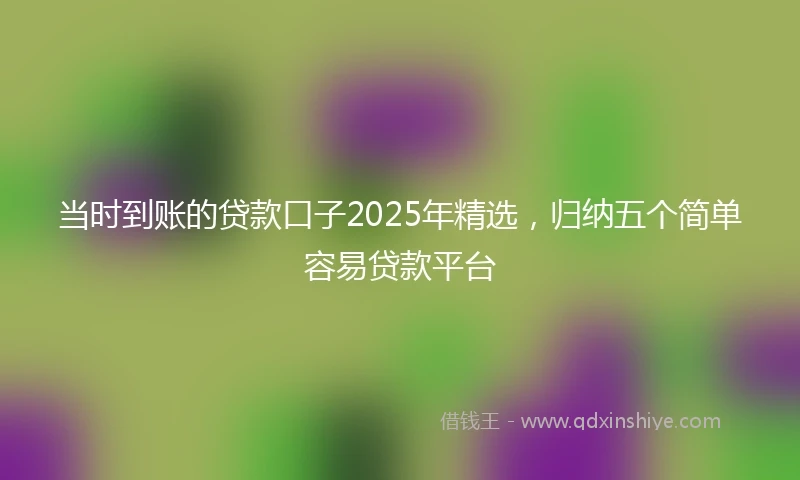 当时到账的贷款口子2025年精选，归纳五个简单容易贷款平台
