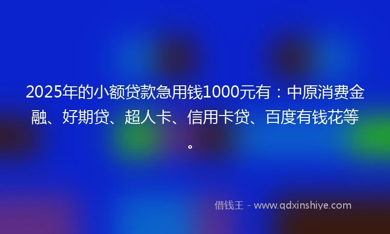 2025年的小额贷款急用钱1000元有：中原消费金融、好期贷、超人卡、信用卡贷、百度有钱花等。